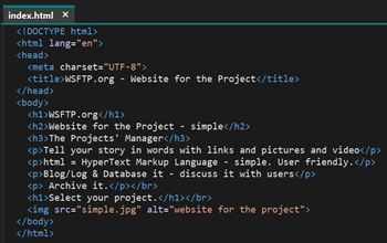website for the project